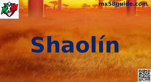Shaolín Banner