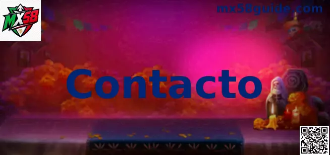 Contacto MX58 México para soporte, formulario y ayuda segura