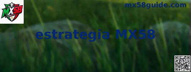 Representación visual de estrategia MX58