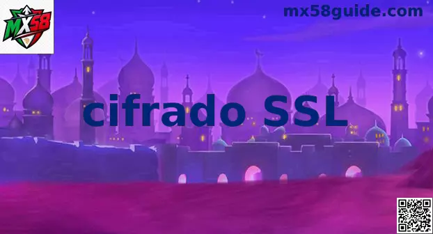 Infografía sobre Cifrado SSL y seguridad en servidores web de México